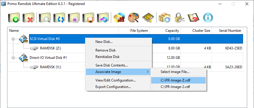 Primo Ramdisk Associate Image